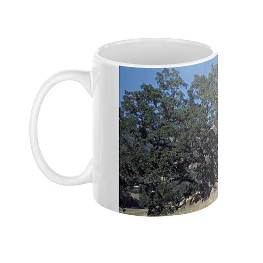 Athenian Oak Coffee Mug  Rachel Jensen Designs