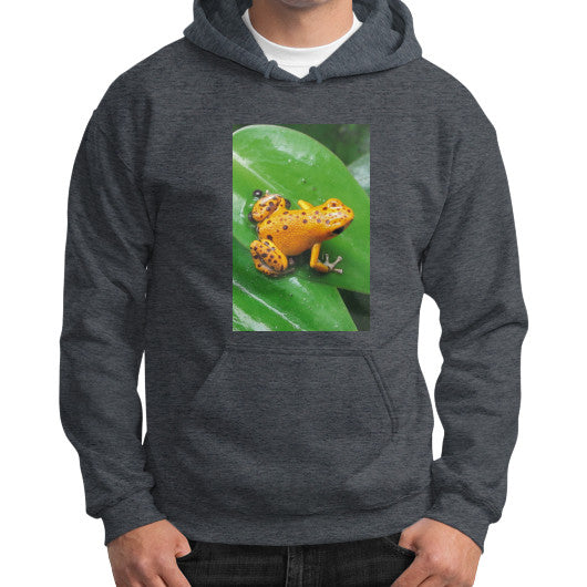 Bastimentos Pumilio Dart Frog with Clutch Gildan Hoodie Dark heather Rachel Jensen Designs