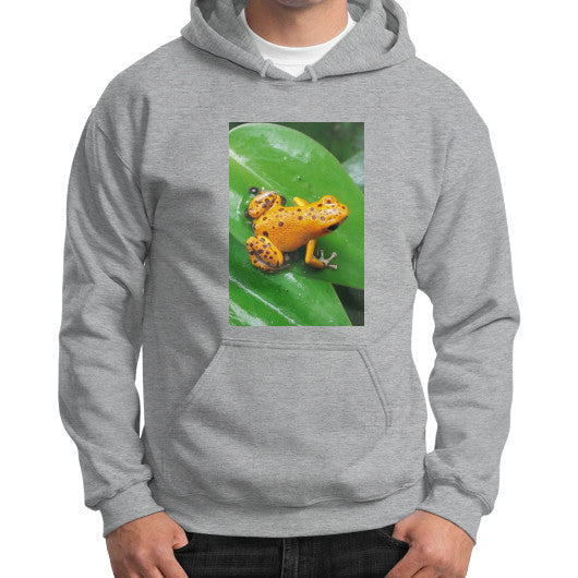 Bastimentos Pumilio Dart Frog with Clutch Gildan Hoodie Sport grey Rachel Jensen Designs