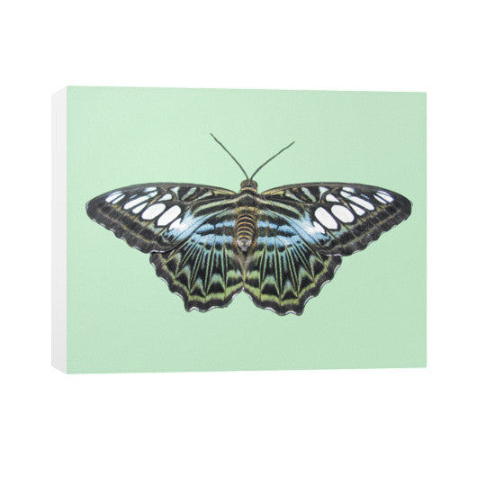 Blue Clipper Horizontal Canvas  Rachel Jensen Designs