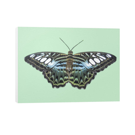 Blue Clipper Horizontal Canvas  Rachel Jensen Designs