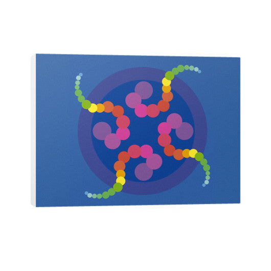 Mezmerizing Rainbow Jellyfish Horizontal Canvas  Rachel Jensen Designs