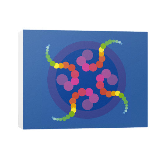 Mezmerizing Rainbow Jellyfish Horizontal Canvas  Rachel Jensen Designs