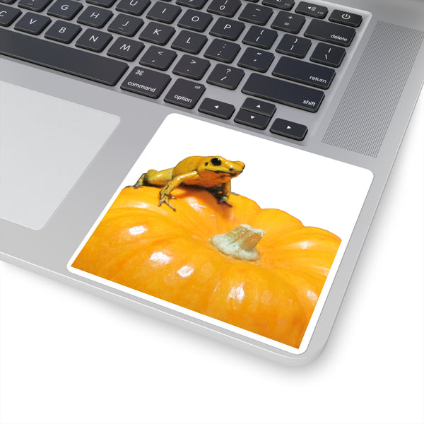 Golden Dart Frog on Pumpkin Sticker