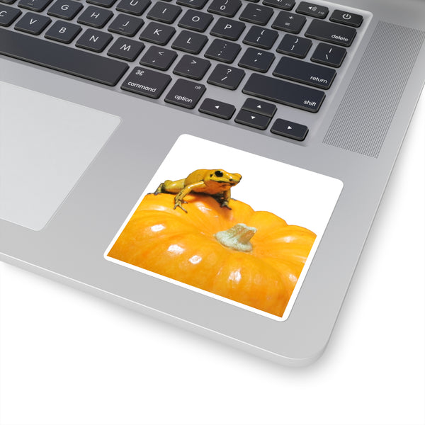 Golden Dart Frog on Pumpkin Sticker