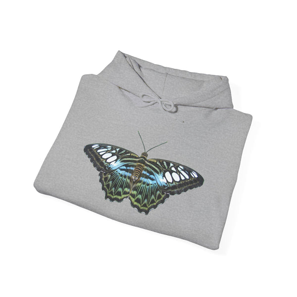 Blue Clipper Butterfly Hoodie — Butterfly Graphic Pullover