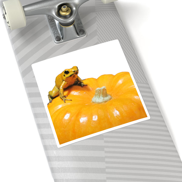 Golden Dart Frog on Pumpkin Sticker