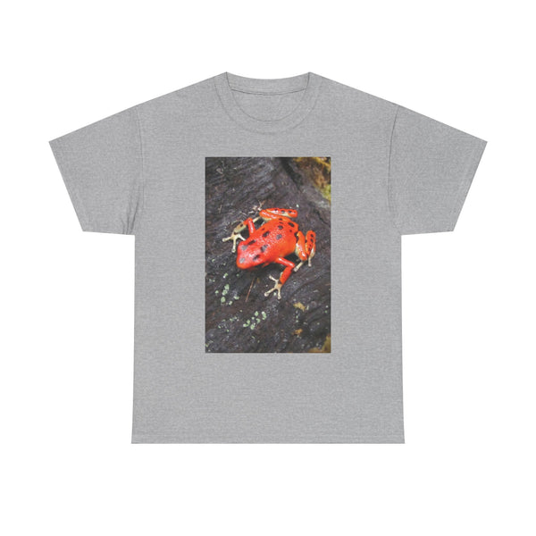 Strawberry Poison Dart Frog Photo Tee