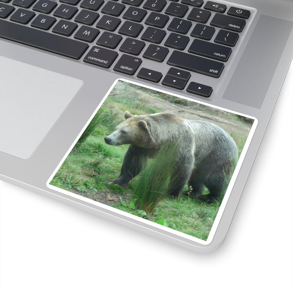 Grizzly Bear Photo Square Sticker — Realistic Grizzly Laptop Decal