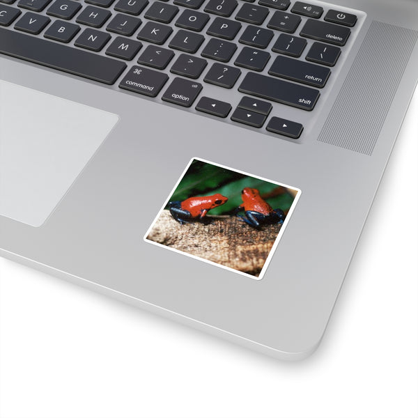 Blue Jeans Strawberry Poison Dart Frog Square Sticker — Rainforest Amphibian Decal
