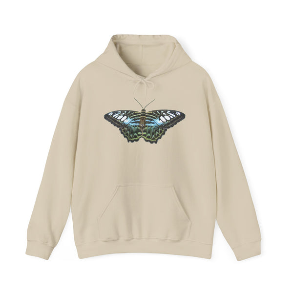 Blue Clipper Butterfly Hoodie — Butterfly Graphic Pullover