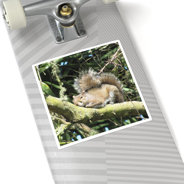 Sleeping Squirrel Square Sticker – Cute Woodland Animal Laptop Decal