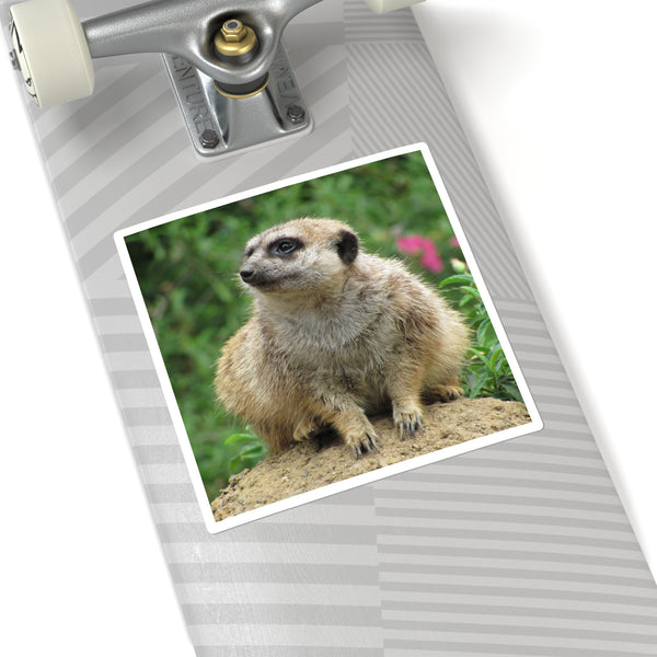 Meerkat Square Sticker — Cute Photo Animal Laptop Decal