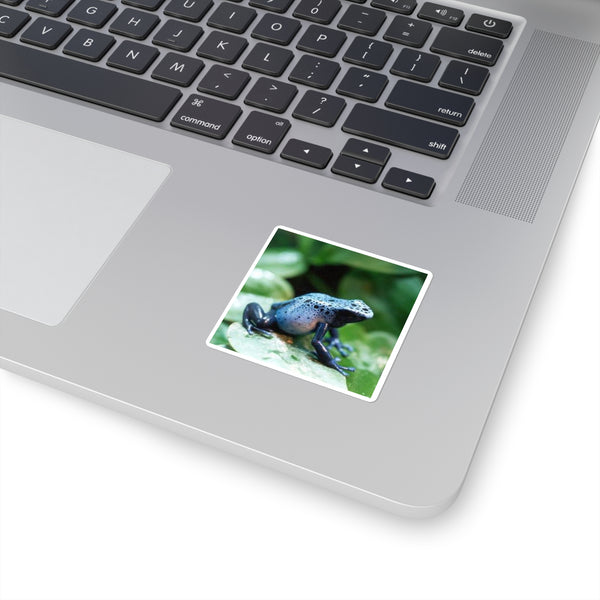 Blue Poison Dart Frog Square Sticker — Tropical Amphibian Laptop Decal