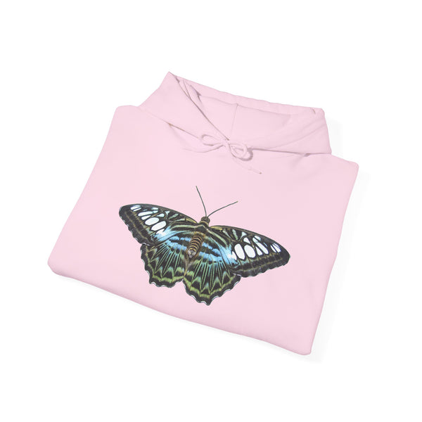 Blue Clipper Butterfly Hoodie — Butterfly Graphic Pullover