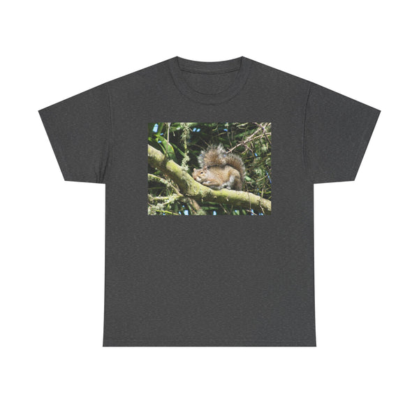 Sleeping Squirrel Photo Tee | Cute Nature Wildlife Gift