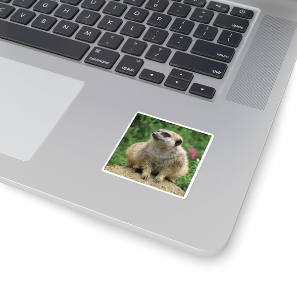 Meerkat Square Sticker — Cute Photo Animal Laptop Decal