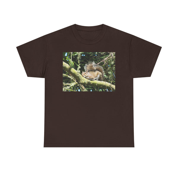 Sleeping Squirrel Photo Tee | Cute Nature Wildlife Gift