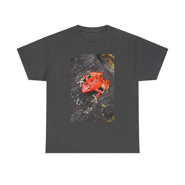 Strawberry Poison Dart Frog Photo Tee