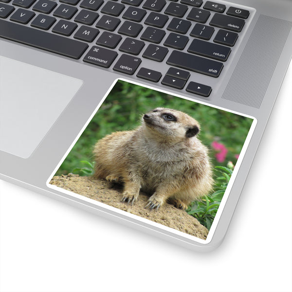 Meerkat Square Sticker — Cute Photo Animal Laptop Decal