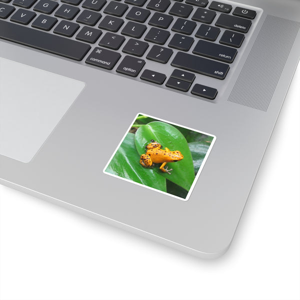 Orange Strawberry Poison Dart Frog Square Sticker — Bright Tropical Wildlife Decal for Laptops, Water Bottles & Journals