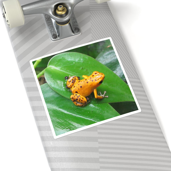 Orange Strawberry Poison Dart Frog Square Sticker — Bright Tropical Wildlife Decal for Laptops, Water Bottles & Journals