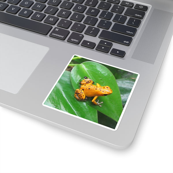 Orange Strawberry Poison Dart Frog Square Sticker — Bright Tropical Wildlife Decal for Laptops, Water Bottles & Journals