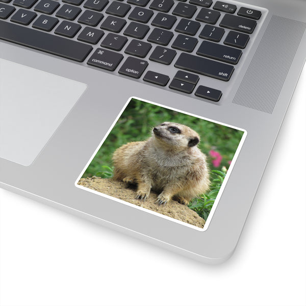 Meerkat Square Sticker — Cute Photo Animal Laptop Decal