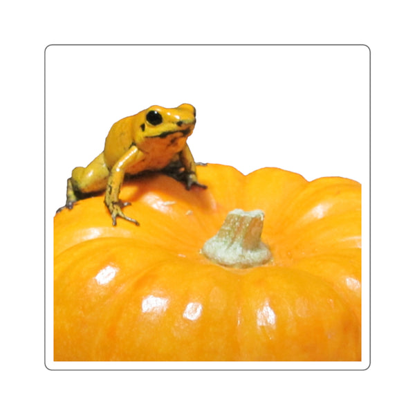 Golden Dart Frog on Pumpkin Sticker