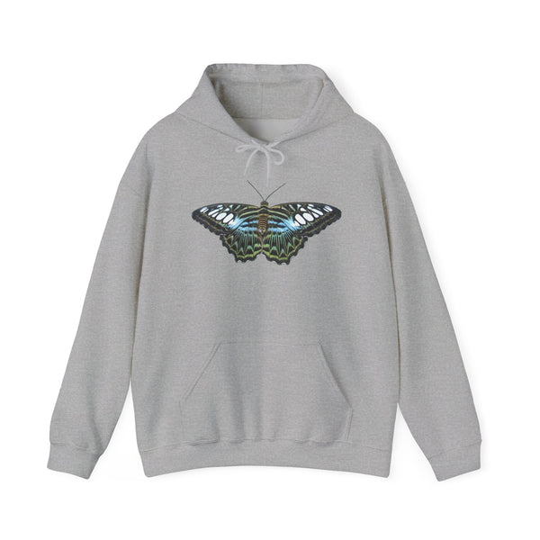 Blue Clipper Butterfly Hoodie — Butterfly Graphic Pullover