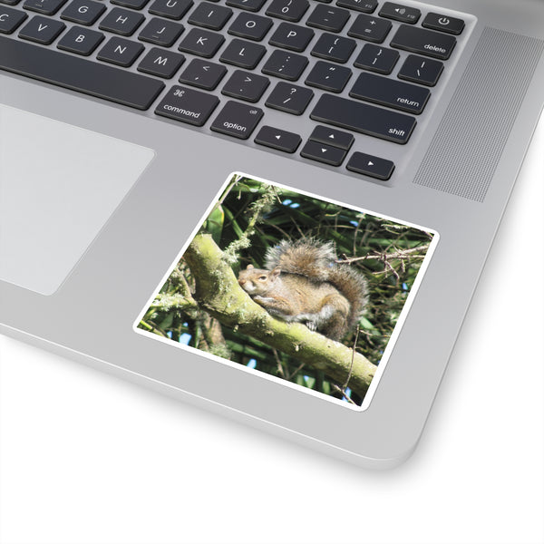 Sleeping Squirrel Square Sticker – Cute Woodland Animal Laptop Decal
