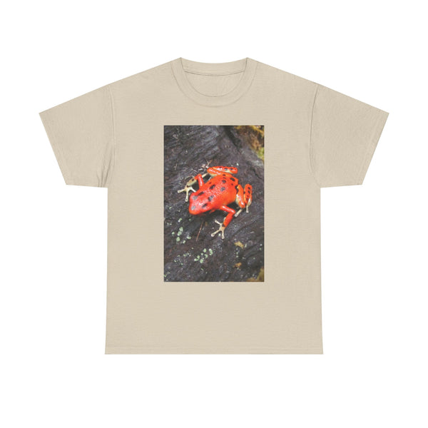 Strawberry Poison Dart Frog Photo Tee
