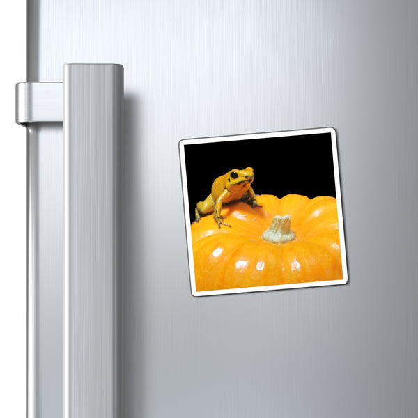Golden Dart Frog on Pumpkin Magnet – Cute Yellow Dart Frog on Pumpkin Magnet
