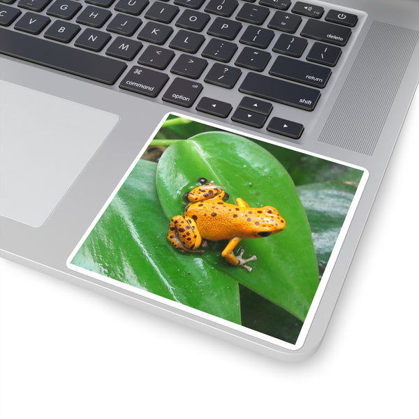 Orange Strawberry Poison Dart Frog Square Sticker — Bright Tropical Wildlife Decal for Laptops, Water Bottles & Journals