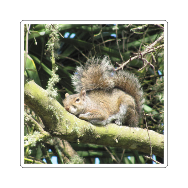 Sleeping Squirrel Square Sticker – Cute Woodland Animal Laptop Decal