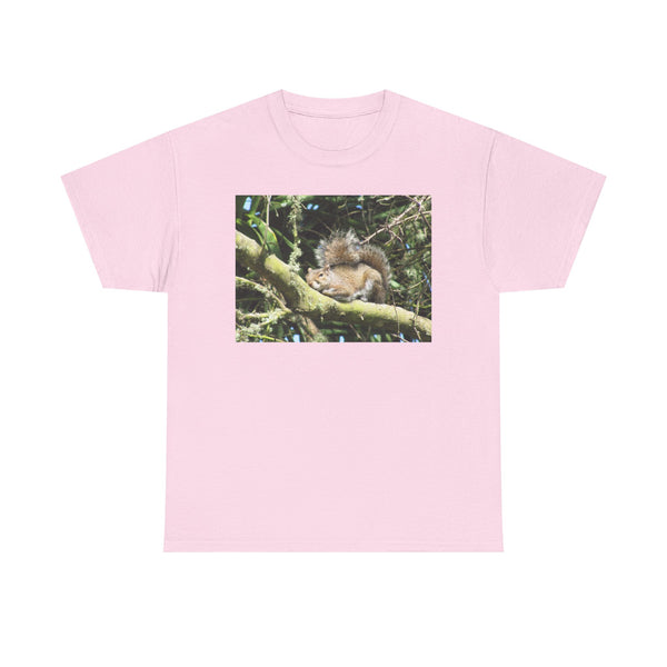 Sleeping Squirrel Photo Tee | Cute Nature Wildlife Gift