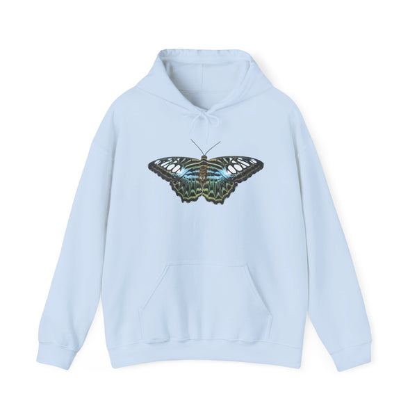 Blue Clipper Butterfly Hoodie — Butterfly Graphic Pullover