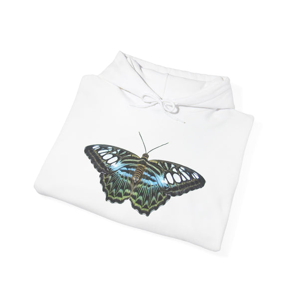 Blue Clipper Butterfly Hoodie — Butterfly Graphic Pullover