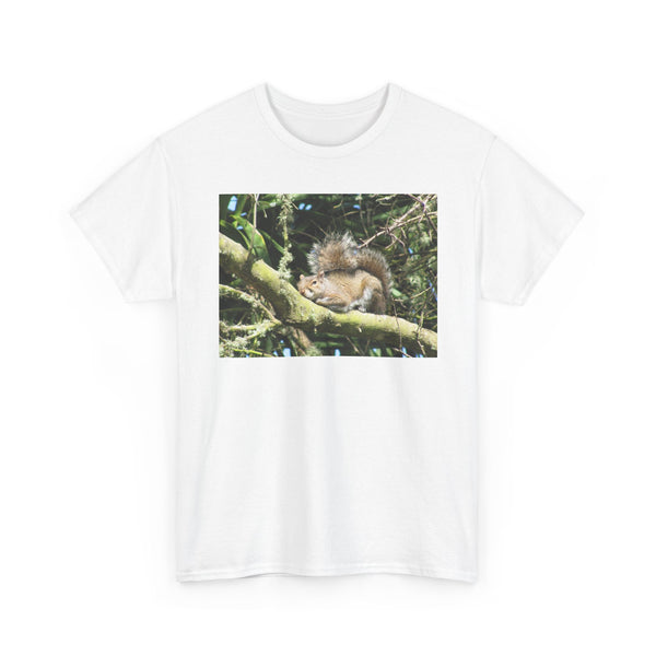 Sleeping Squirrel Photo Tee | Cute Nature Wildlife Gift