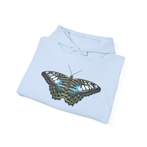 Blue Clipper Butterfly Hoodie — Butterfly Graphic Pullover