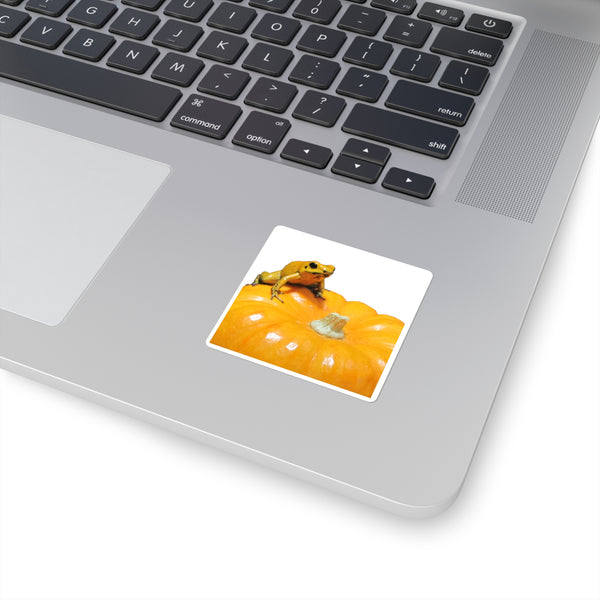 Golden Dart Frog on Pumpkin Sticker