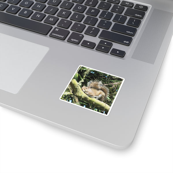 Sleeping Squirrel Square Sticker – Cute Woodland Animal Laptop Decal