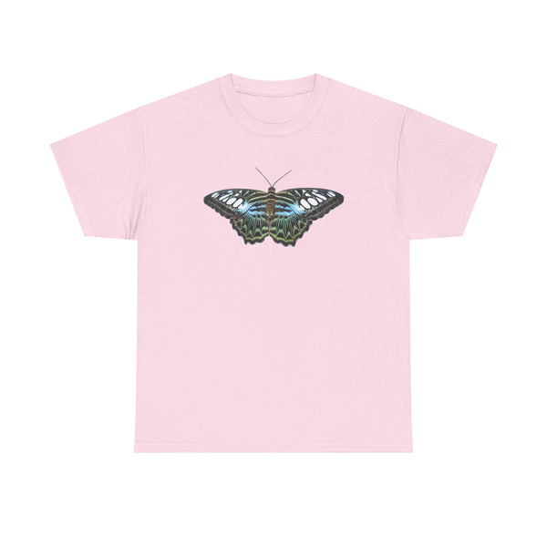 Blue Clipper Butterfly Graphic Tee