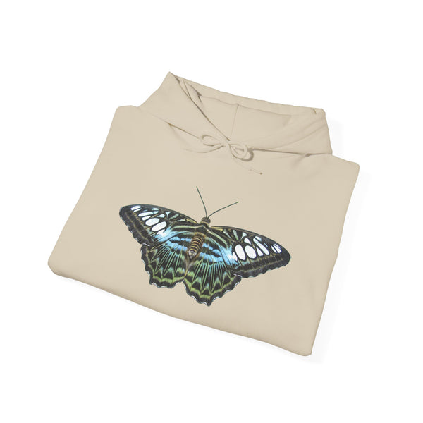 Blue Clipper Butterfly Hoodie — Butterfly Graphic Pullover