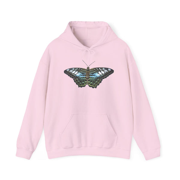 Blue Clipper Butterfly Hoodie — Butterfly Graphic Pullover