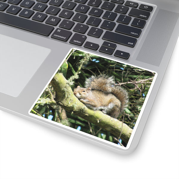 Sleeping Squirrel Square Sticker – Cute Woodland Animal Laptop Decal