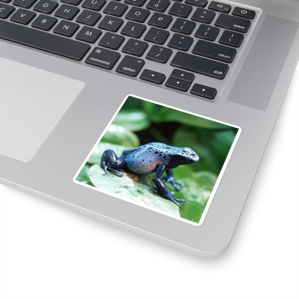 Blue Poison Dart Frog Square Sticker — Tropical Amphibian Laptop Decal