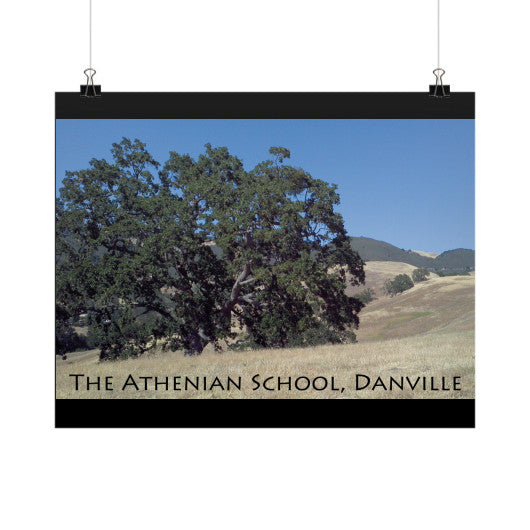 Athenian Oak Horizontal Fine Art Prints (Posters)  Rachel Jensen Designs