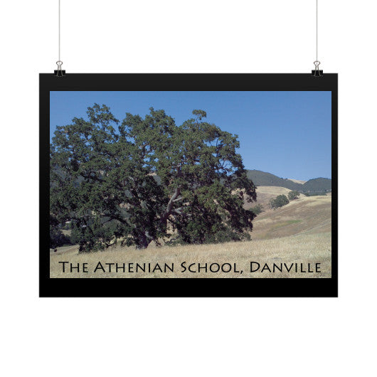 Athenian Oak Horizontal Fine Art Prints (Posters)  Rachel Jensen Designs