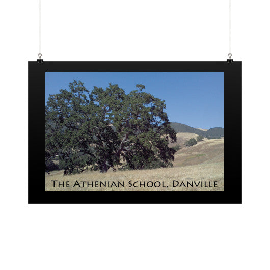 Athenian Oak Horizontal Fine Art Prints (Posters)  Rachel Jensen Designs